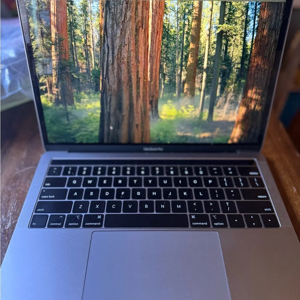 Apple Metallic Gray Laptop